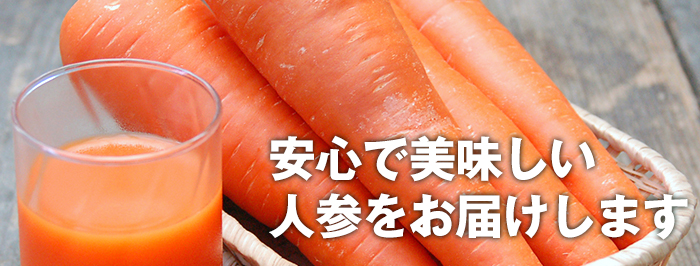 有機野菜の町 綾町産の 安心で美味しい人参を お届けします