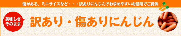 傷あり、訳あり（ミニサイズなど）にんじんをお求めやすい価格