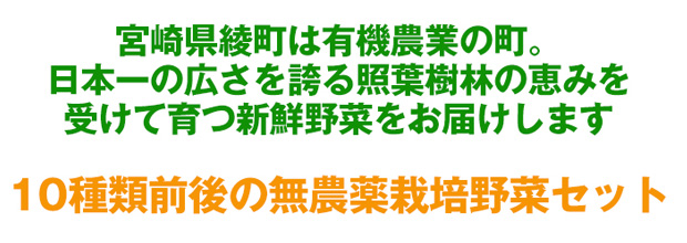 1772円 Seasonal Wrap入荷 無農薬旬 野菜Lセット ギフト 自然食品 gift 1772円 Seasonal Wrap入荷 無農薬旬 野菜Lセット ギフト 自然食品 gift