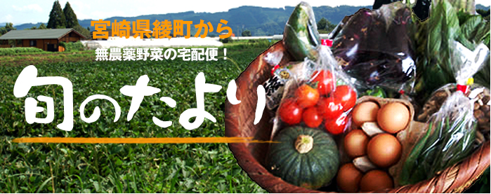 無農薬野菜セット「旬のたより」　野菜