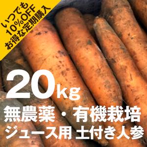 綾町産ジュース用人参（土つき）20ｋｇ・定期購入