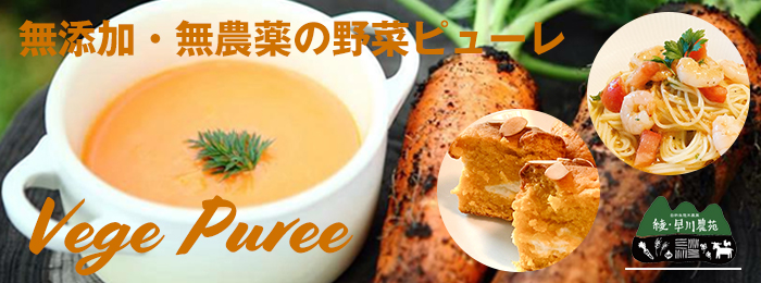 無農薬・無化学肥料栽培のジュース用人参 有機JASジュース用
